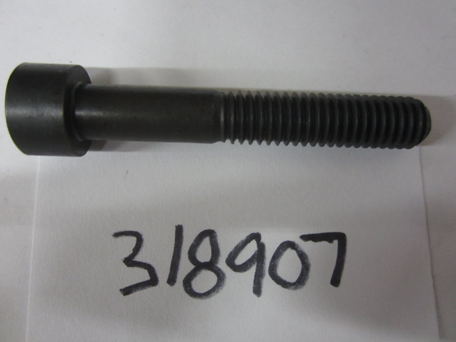 318907 - Screw, Crankcase To Cyl (EV-318907)