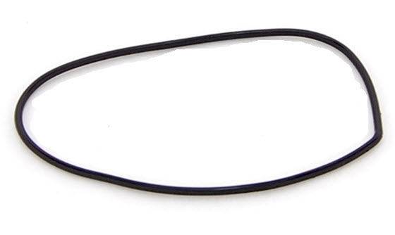 EV-331353 Seal (331353)