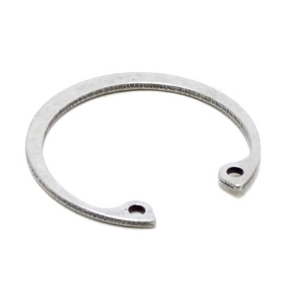 308625 - Retaining Ring (EV-308625)