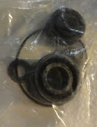 EV-114831 G-CASE SEAL KIT (114831)