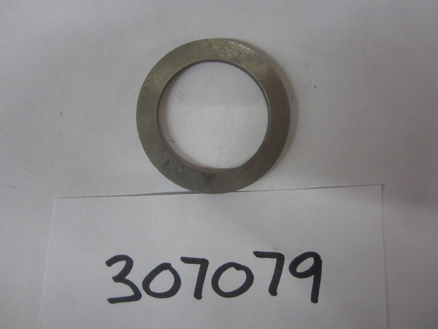 307079 - Thrust Washer (EV-307079)