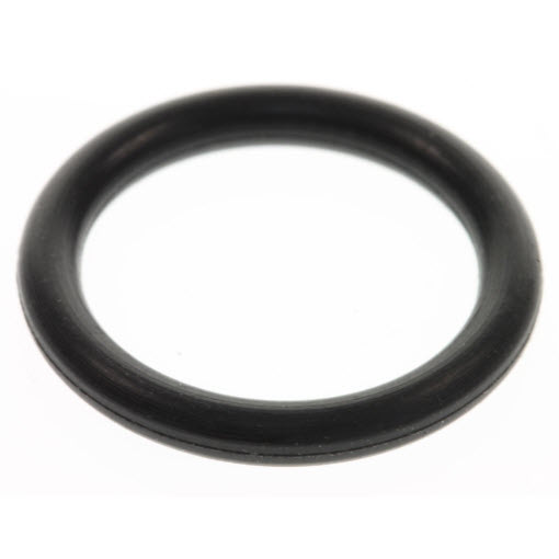 960166 - O-Ring (EV-960166)