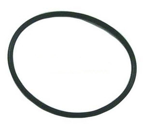 308876 - Crankcase Head O-Ring (EV-308876)