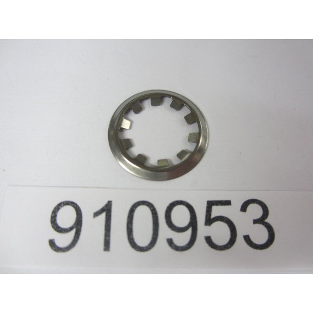 910953 - Retaining Ring, Thrust Plate (EV-910953)