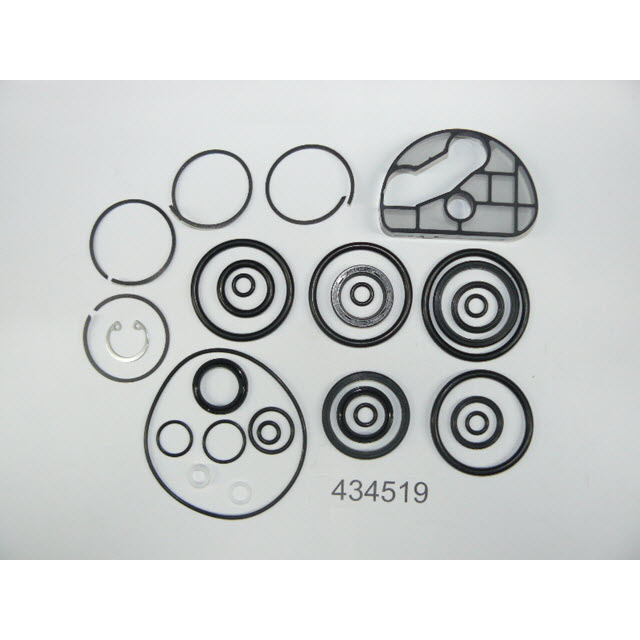 EV-434519 O-ring and Seal Kit (434519)