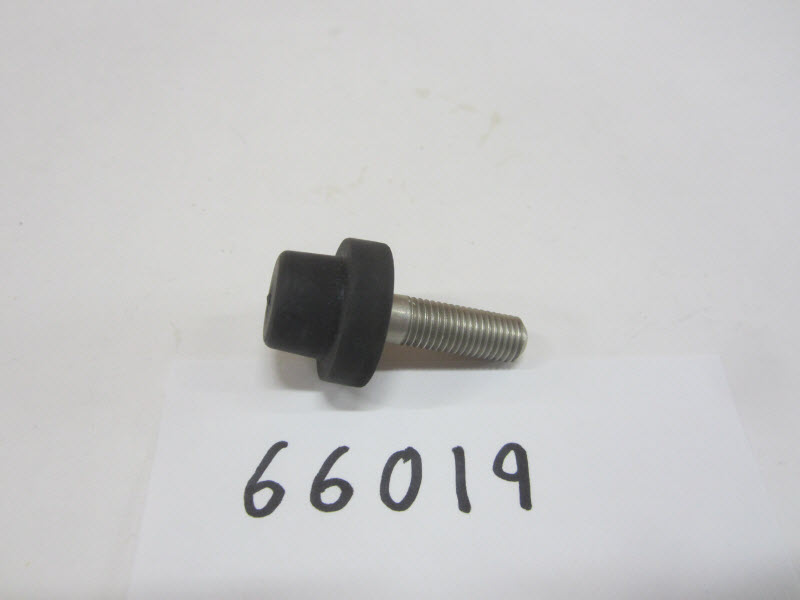 66019 - Mount, NLA