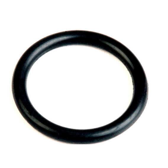 202893 - O-Ring (EV-202893)