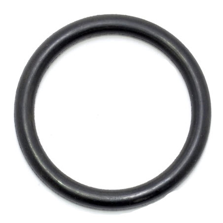 EV-121669 TRANSOM PLATE SEAL (121669)