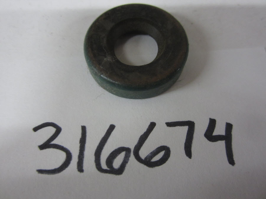 316674 - Oil Seal (EV-316674)