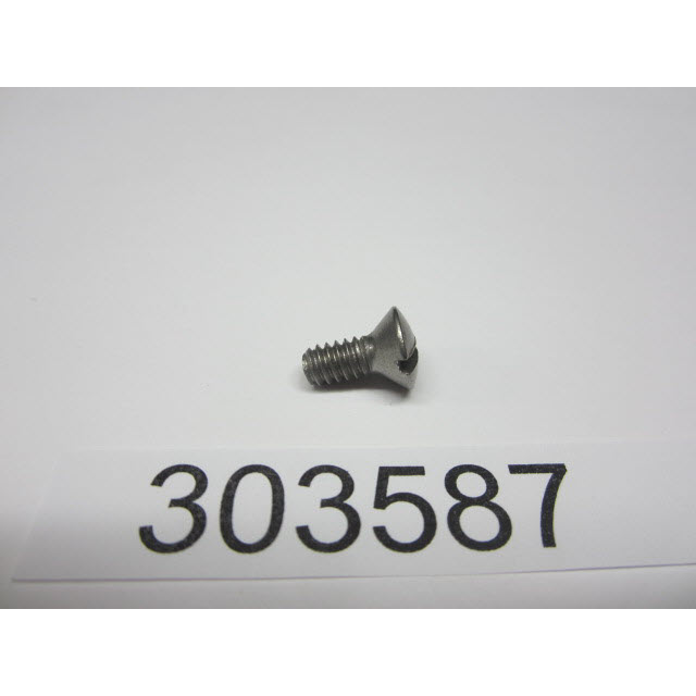 303587 - Cover Plate Screw (EV-303587)