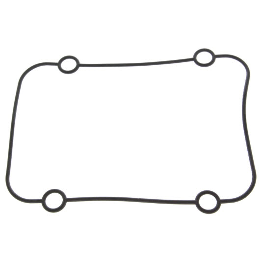 EV-3010036 Regulator to Crankcase SEAL (3010036)