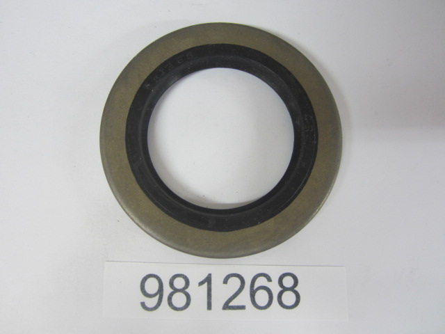 981268 - Seal, Bearing Retainer (EV-981268)