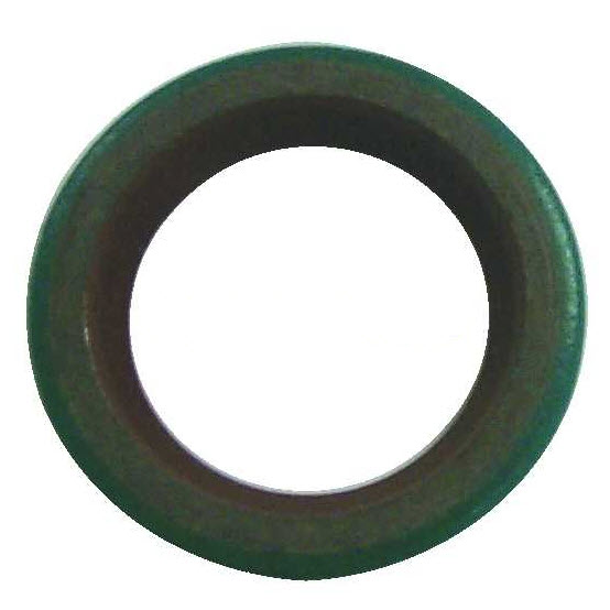 305987 - Powerhead Seal (EV-305987)