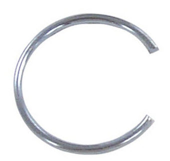 317831 - Retaining Ring (EV-317831)