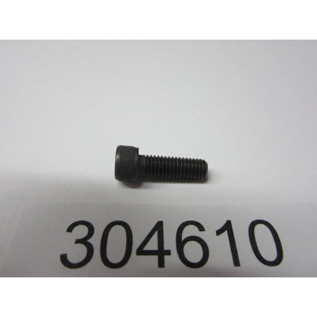 304610 - Screw, Rod Cap (EV-304610)