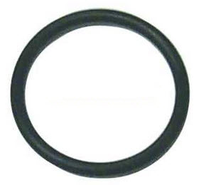 554545 - O-Ring (EV-554545)