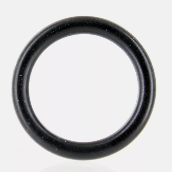 308624 - Pulley O-Ring (EV-308624)