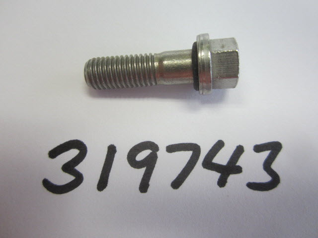 319743 - Stainless Steel Screw (EV-319743)