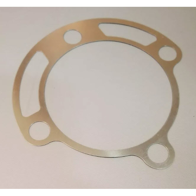 0313189 - Shim (EV-313189)