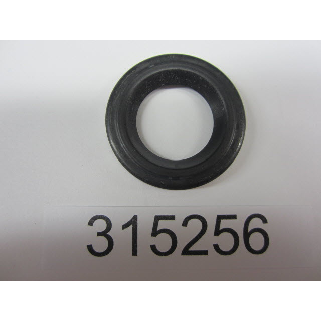 315256 - Crankshaft Seal (EV-315256)