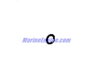 348496 - O-Ring (EV-348496)