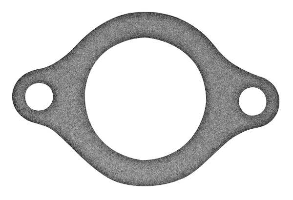 8M2021920 GASKET - 27-8M2021920 - Thermostat Gasket Zz