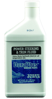 3851039 Power Steering Fluid