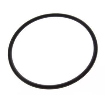 815460 - O-ring, Bearing Carrier (25-815460)