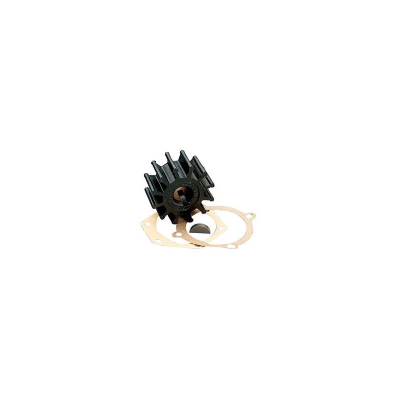 21951350 IMPELLER KIT