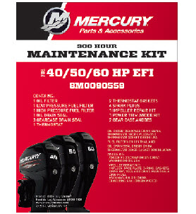 8M0090559 - W40/50/60 4-STK 300 HR SVC Kit