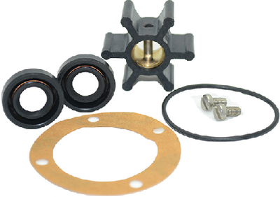 09-45589 Serivce Kit For Pumps 10350385 | Johnson Pump