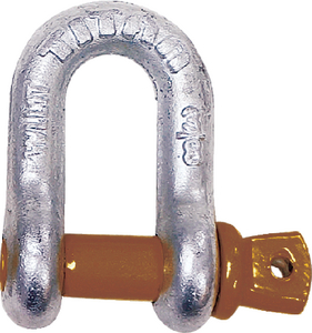 10319062 Shackle-D Anchor Galv 1/4In | Titan Marine Chain