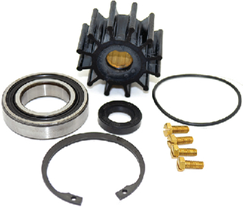 1132497 Volvo A/Jp F-5 Repair Kit | Johnson Pump