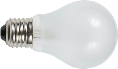 531025 12V 25W Medium Screw Bulb (2) | Ancor