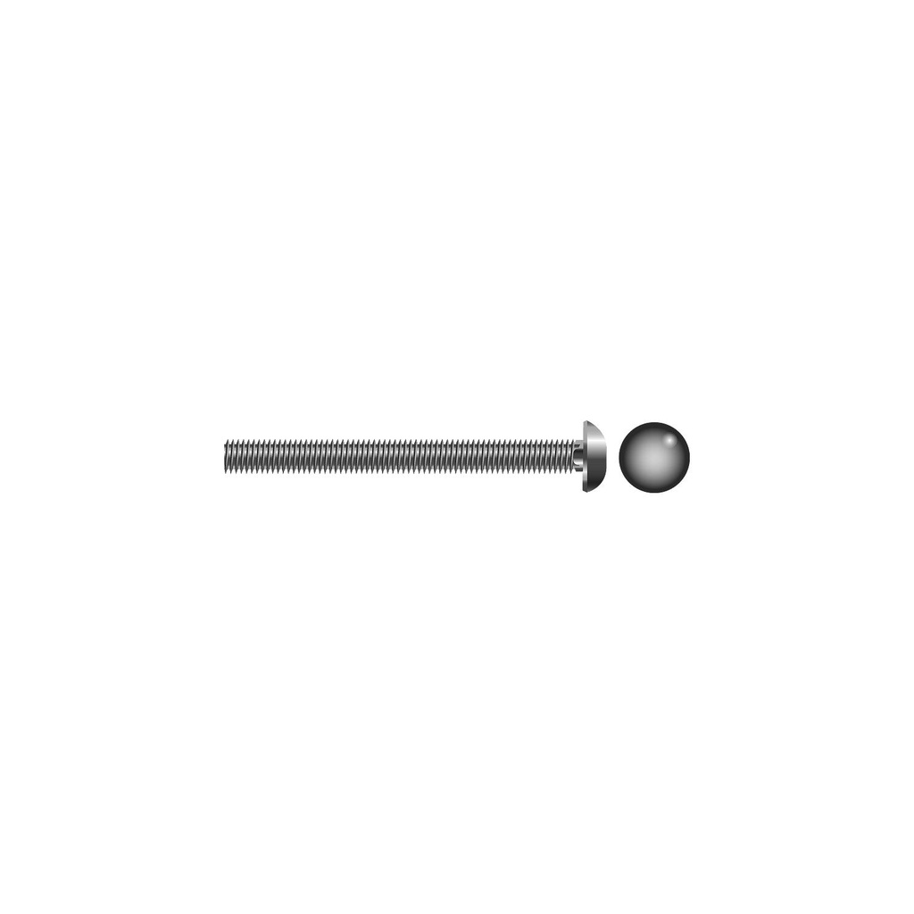 Sc1256 3/8-16X5 Car Blt Ss 5/Bg | Seachoice