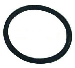321921 - O-Ring (EV-321921)