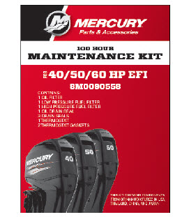 8M0090558 - W40/50/60 EFI 4-STK 100 HR Kit