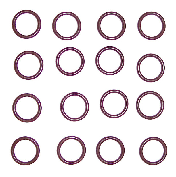 804532 - O-ring Kit (16 Per Kit)