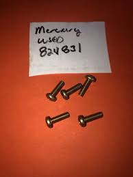 824831 - Screw (10-824831)