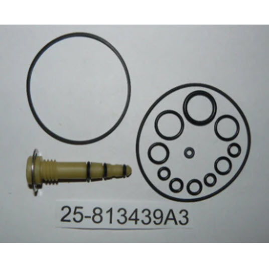 813439A3 - O-Ring Kit (25-813439A 3)