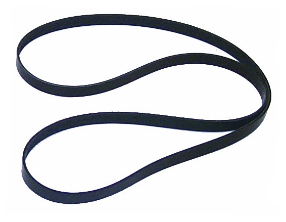 828507Q11 - Belt (57-828507Q11)