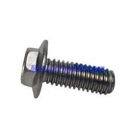 816928 SCREW - 10-816928