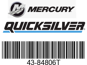 84806T - Pinion Gear (43-84806T)