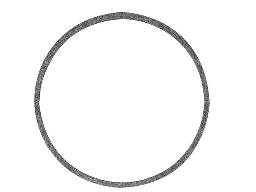 55896 GASKET