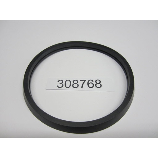 EV-308768 Seal, Exhaust (308768)