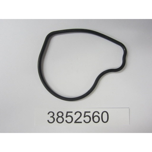3852560 - Seal, Water Passage