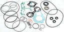 007-624-02 Gasket Kit Comp Sd 800 Rfi | Wsm