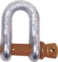 10319063 Shackle-D Anchor Galv 5/16In | Titan Marine Chain