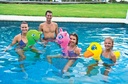 17-2050 Pool Pals Assort Display 12/Pk | Wow Watersports