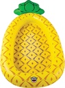 Bmpf-0169 Pineapple Mesh Float @4 | Big Mouth By Wow